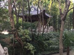 -汇龙潭