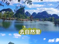 -靖西鹅泉风景区
