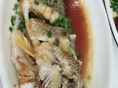 -金海湾海鲜排档(朱家尖店)