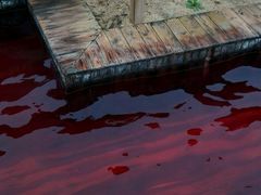 -汤泊温泉度假村