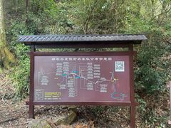 -炎陵县神农谷国家森林公园