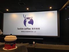 -深影国际影城(学院南路店CGS中国巨幕店)