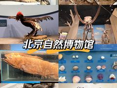-国家自然博物馆