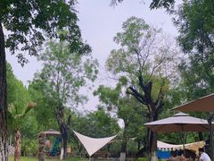 -Supine Bistro溯泮餐厅