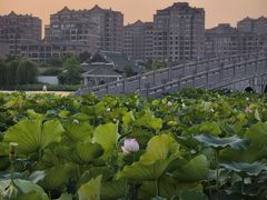 -浙江大学(海宁国际校区)