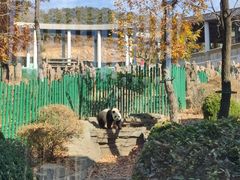 -大连森林动物园