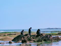 -巧克力渔家.小船海鲜胶东菜(万平口店)