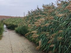 景点-水洞沟旅游区