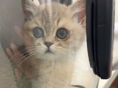 -心仪动物医院·牙专科·肿瘤·心脏科(西客站院)