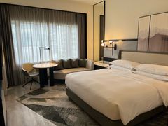-新加坡乌节希尔顿酒店 (SG Clean)