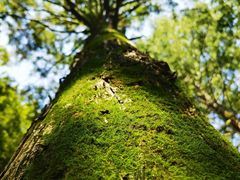 -苏州河梦清园环保主题公园