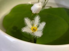 -祥源·阜阳生态乐园