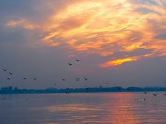 -溱湖国家湿地公园