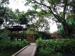 -新加坡飞禽公园