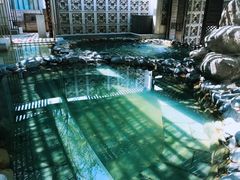 -春晖园度假酒店温泉