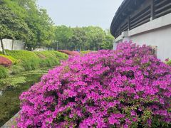 -蠡湖大桥公园