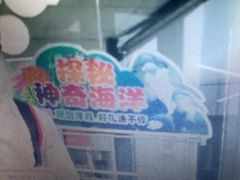 -斯坦星球AI编程·机器人科创·科学实验·信奥·思维·STEM·积木拼搭·竞赛考级(浦东联洋广场大拇指龙阳御桥中心)