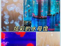 -正佳极地海洋世界