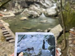 -百杖潭景区
