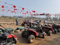 -上海长兴岛郊野公园