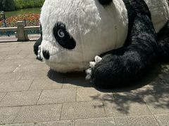 -苏州太湖国家湿地公园