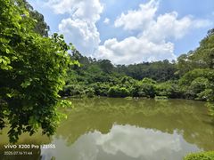 -水濂山森林公园