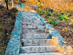 -香山公园