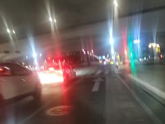 -文昌椰子鸡(沙井万丰店)