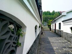 -大塘金香草谷
