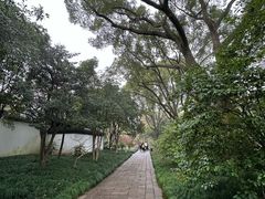 -秋霞圃