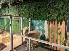 -常州海昌海洋探索馆