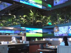 -大头椰·椰子鸡火锅(南宁万象城店)