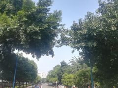 -西南政法大学(渝北校区)