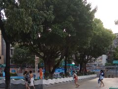 -矿泉游泳场