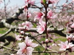 -广富林郊野公园