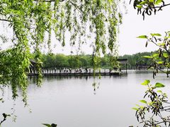 -溱湖国家湿地公园