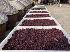 -苏州市吴中区光福窑上花果蜜饯厂