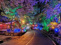 -老界岭旅游度假区