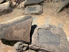-包头博物馆