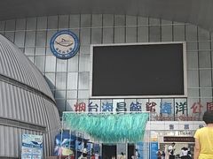 -烟台海昌鲸鲨海洋公园