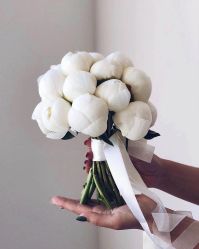 -太郎花子婚纱摄影艺术中心