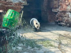 -石家庄市动物园