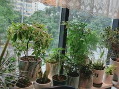 -懒人盐府人家(航天桥店)