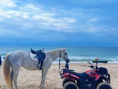 -三亚海棠湾万丽度假酒店