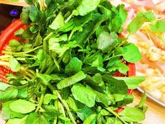 -阿鸡鱼庄·顺德鲜蒸小炒(亚运村店)