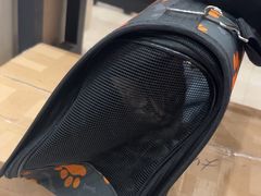 -艾贝尔宠物医院·狂犬免疫点(江山金象城店)