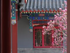 -天津大悲禅院