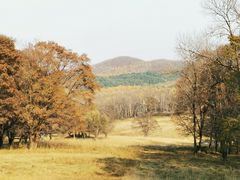 -森工平山皇家鹿苑景区