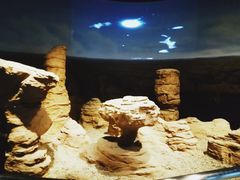 -甘肃地质博物馆