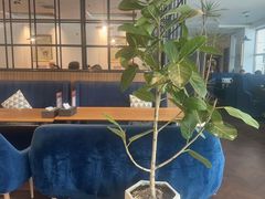 -花舍·新派粤菜·西餐·下午茶(亚运村·鸟巢店)